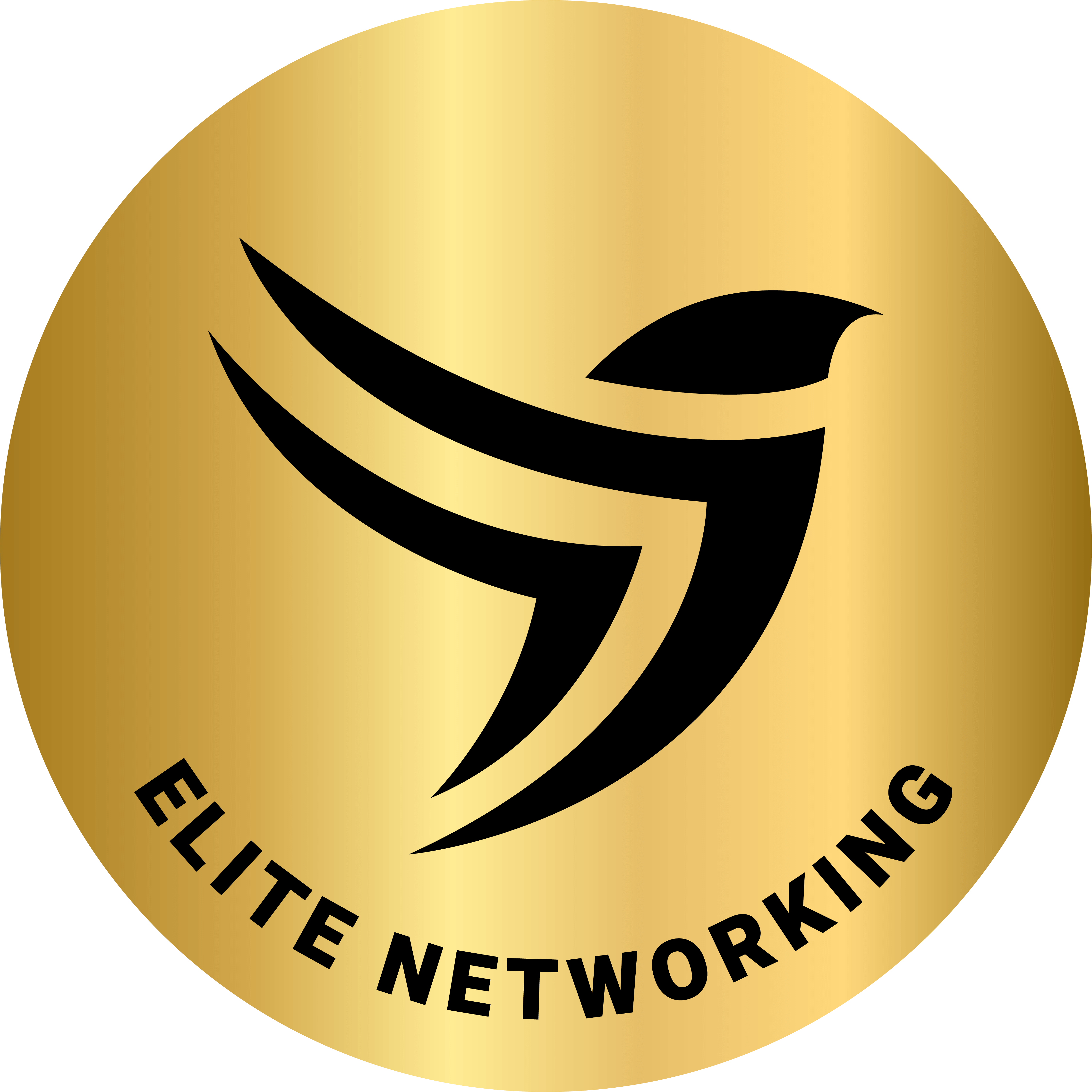 Elite Networking